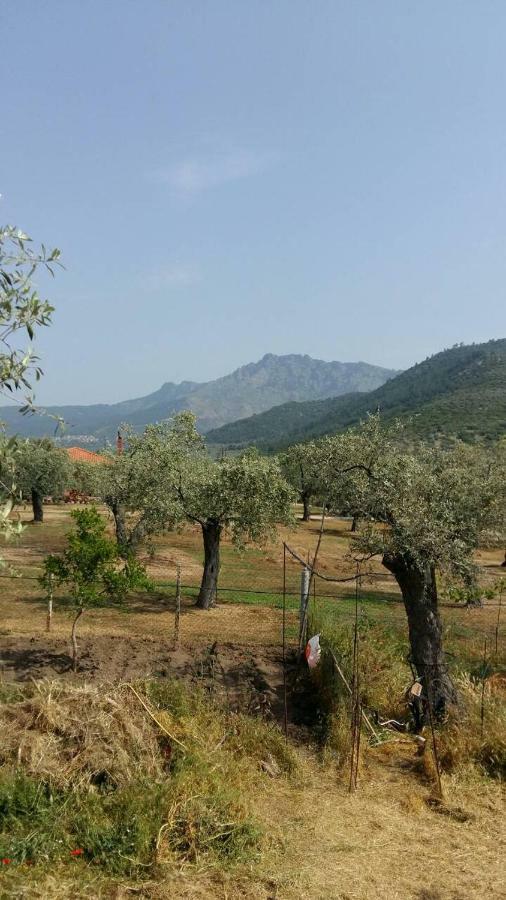 Appartement Vlachogiannis El Estate à Skala Rachoni  Extérieur photo