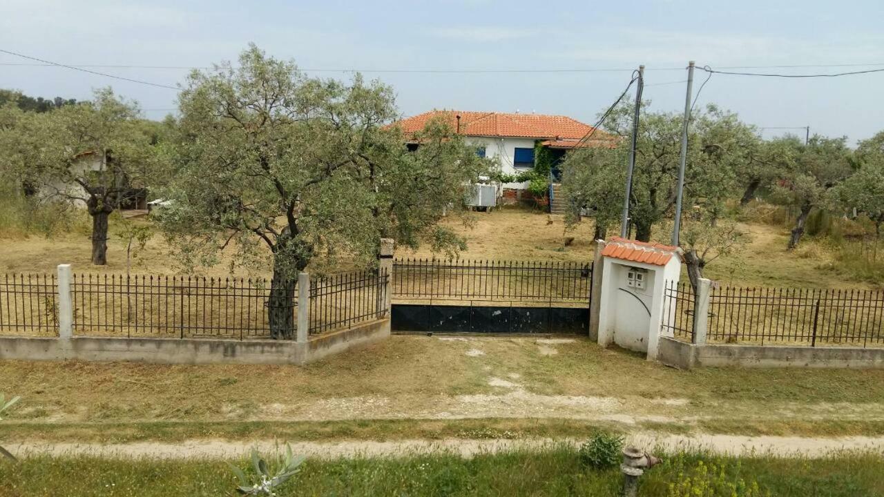 Appartement Vlachogiannis El Estate à Skala Rachoni  Extérieur photo